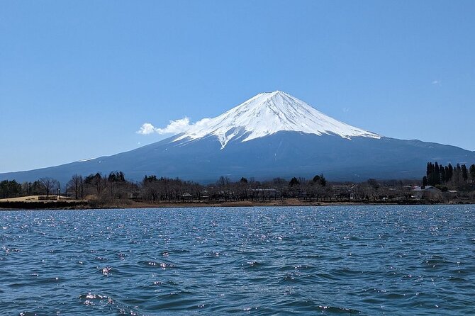Mt. Fuji Day Trip from Tokyo with English Speaking Driver Guide - Why a private Mt. Fuji day works well from Tokyo