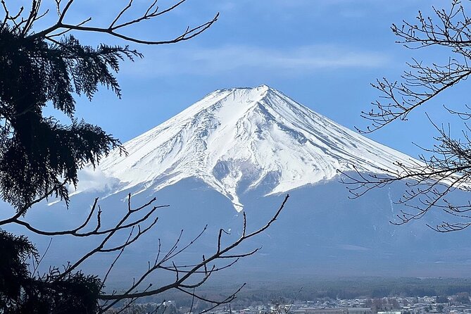 Mt. Fuji Day Trip from Tokyo with English Speaking Driver Guide - Mt. Fuji 5th Station reaches 2,300 meters