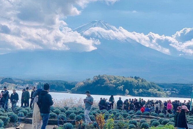 Mt. Fuji Day Trip from Tokyo with English Speaking Driver Guide - Lake Kawaguchiko gives you the classic Fuji view