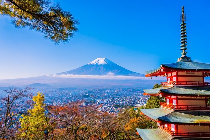 Mt Fuji Private Day Trip from Tokyo with English speaking driver - Key points before you book