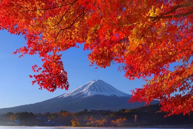 Mt Fuji Private Day Trip from Tokyo with English speaking driver - Why a private Fuji day can be worth the price