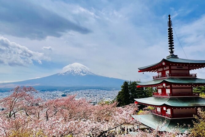 Mt Fuji Private Day Trip from Tokyo with English speaking driver - Oshino Hakkai and the Fuji Five Lakes region