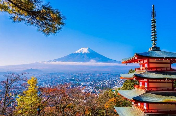 Mt Fuji Private Day Trip from Tokyo with English speaking driver - The Mt Fuji Panoramic Ropeway