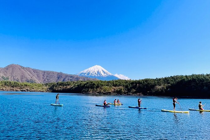 Mt Fuji Private Day Trip from Tokyo with English speaking driver - Kitaguchi Hongu Fuji Sengen Shrine