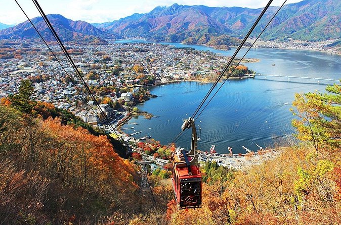Mt Fuji Private Day Trip from Tokyo with English speaking driver - Lake Kawaguchiko and Oishi Park