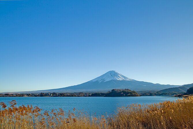 Mt Fuji Private Day Trip from Tokyo with English speaking driver - Start with a realistic route from Tokyo