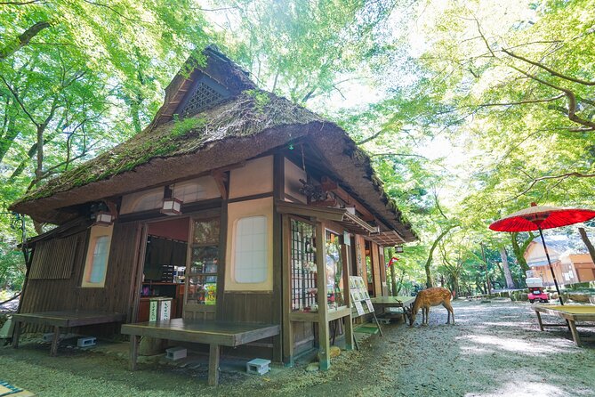 Nara Half Day Trip Walking Tour (Private Option Available) - A traditional lunch in an old Nara setting