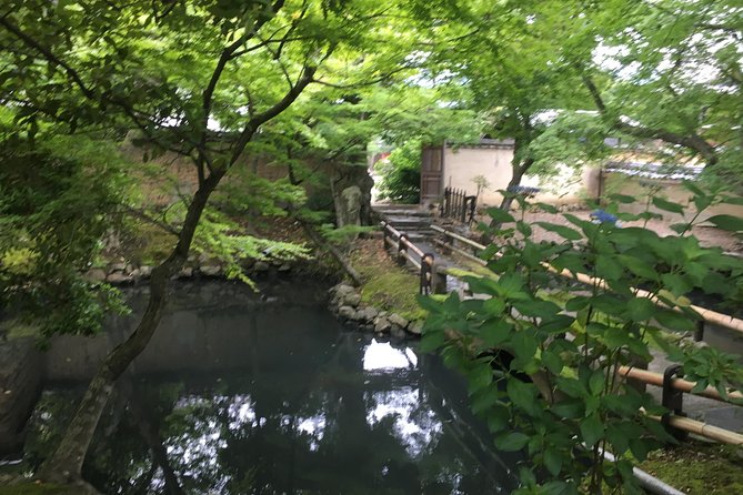 Nara Half Day Trip Walking Tour (Private Option Available) - Nara Park and the pushy, polite deer