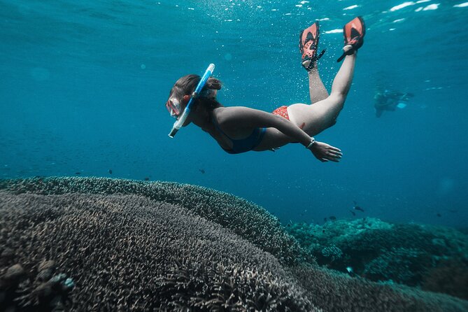 Nusa Penida day trip: boat, 4 snorkeling, Manta rays & Land tour - Four snorkeling stops in one packed day