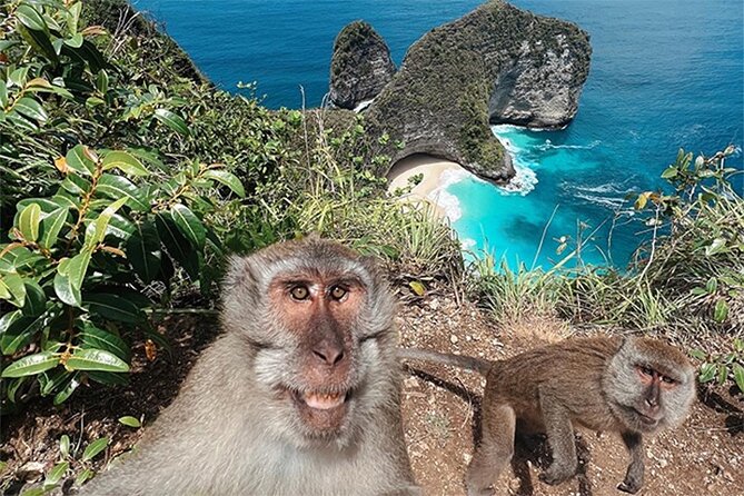Nusa Penida day trip: boat, 4 snorkeling, Manta rays & Land tour - What the guides add to the experience