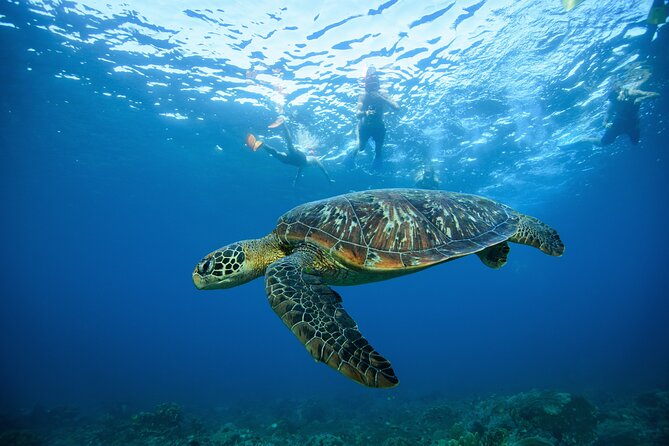 Nusa Penida day trip: boat, 4 snorkeling, Manta rays & Land tour - Is $78 good value?