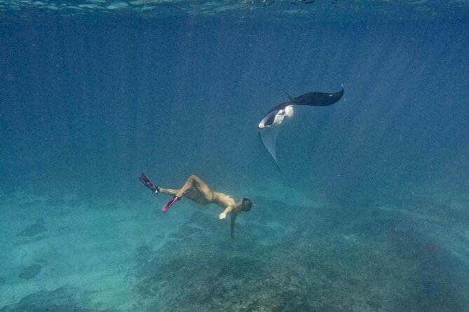 Nusa Penida day trip: boat, 4 snorkeling, Manta rays & Land tour - Mangrove Point and SD Point: an easy start to the water day