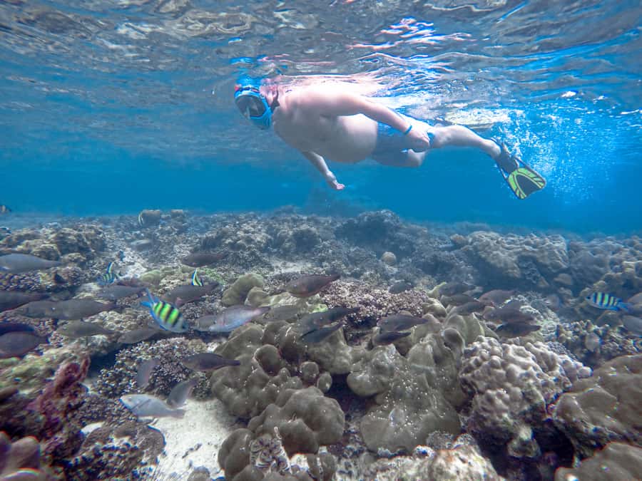 Phi Phi & Bamboo Islands: Premium Day Trip w/ Seaview Lunch - Monkey Beach is better for a quick look than a long visit