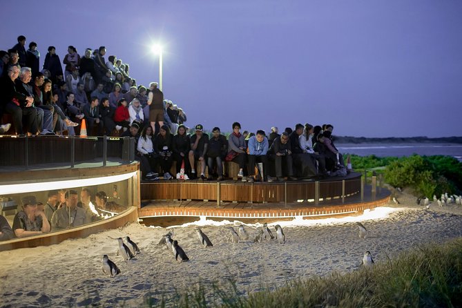 Phillip Island Day Trip from Melbourne with Penguin Plus Viewing Platform - Why the penguin parade is worth the long day