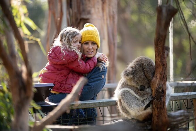 Phillip Island Penguin and Koala Highlights Day-Trip from Melbourne - Leaving Melbourne and settling into the coach