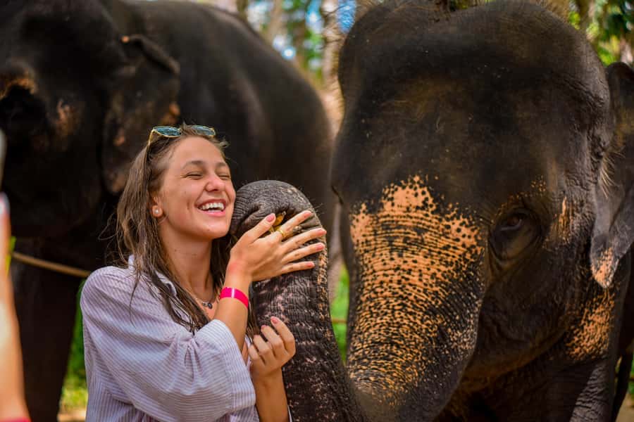 Phuket: Lily Elephant Half day Trip on the Beach with lunch - Key points to know before you book