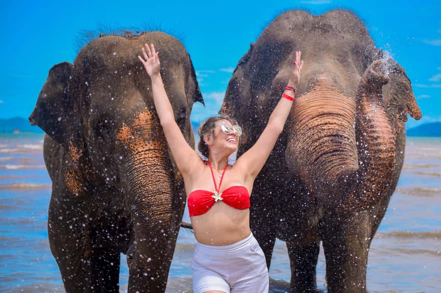 Phuket: Lily Elephant Half day Trip on the Beach with lunch - Preparing meals, cutting fruit, and making vitamin balls