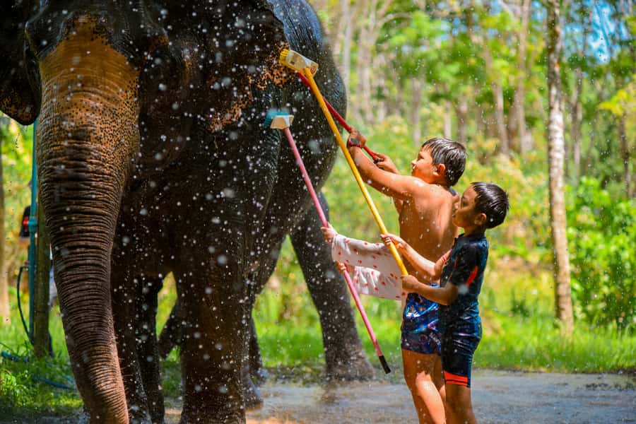 Phuket: Lily Elephant Half day Trip on the Beach with lunch - Bathing in the sea and the freshwater rinse