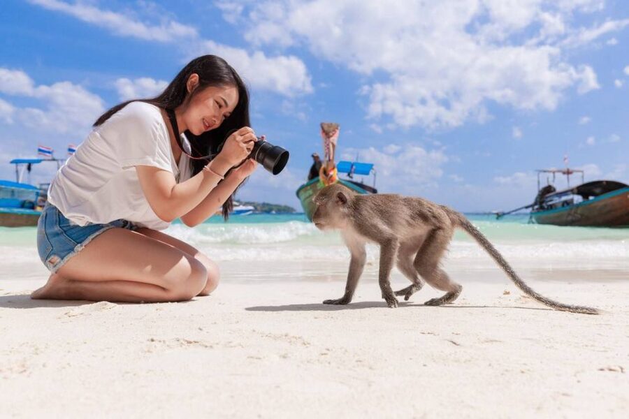 Phuket: Phi Phi Islands and Maya Bay Day Trip with Lunch - Lunch and free time on Phi Phi Don