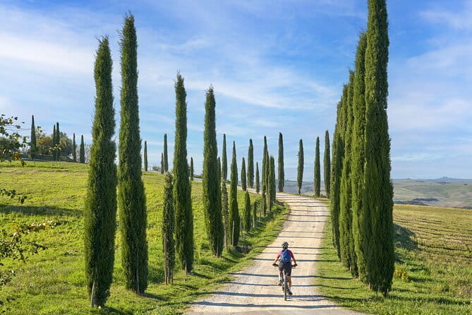 Pisa, Siena and San Gimignano Day Trip with Lunch & Wine Pairing - Who should book this Tuscan day trip?