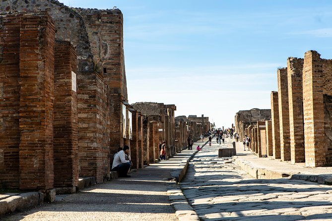 Pompeii & Mt.Vesuvius Day Tour from Naples with Pizza Lunch - The ride from Naples and the pickup details