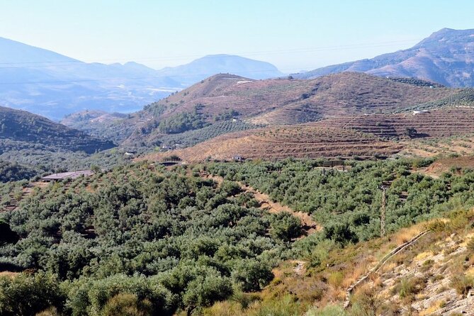 Premium Scenic Daytrip to Alpujarra Villages from Granada (Max 8) - Pampaneira combines village life, crafts, and lunch