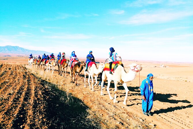 Private Atlas Mountains & Berber villages day trip - A short camel ride in a rocky desert