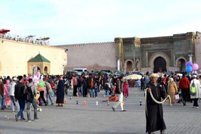 private Day trip from Fez to Volubilis and Meknes (without shopping)