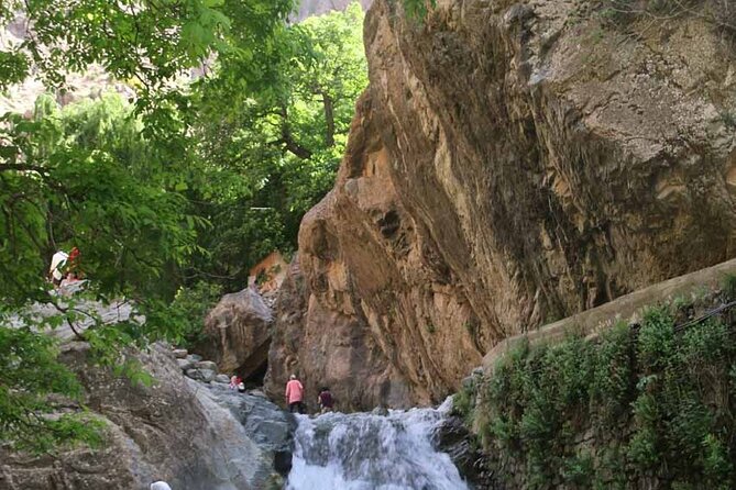 Private Day Trip to Atlas Mountains - What the private format is really worth