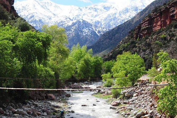 Private Day Trip to Atlas Mountains - Timing, comfort, and who should book