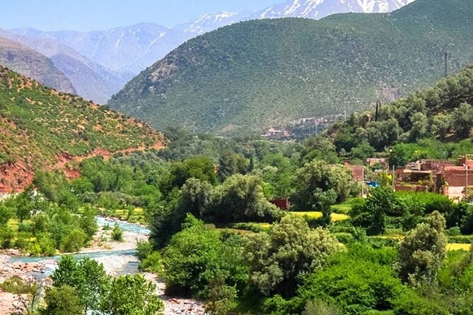 Private Day Trip to Atlas Mountains - Setti Fatma and the seven waterfalls