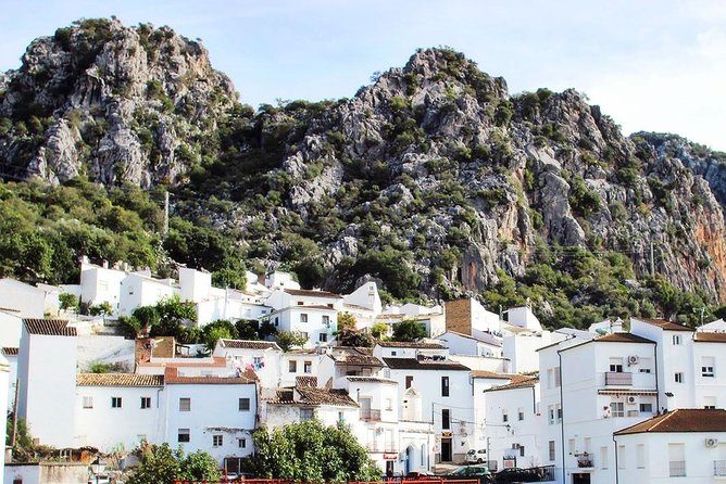 Private Guided Day Trip to the White Villages and Ronda from Seville - Ronda and the Puente Nuevo