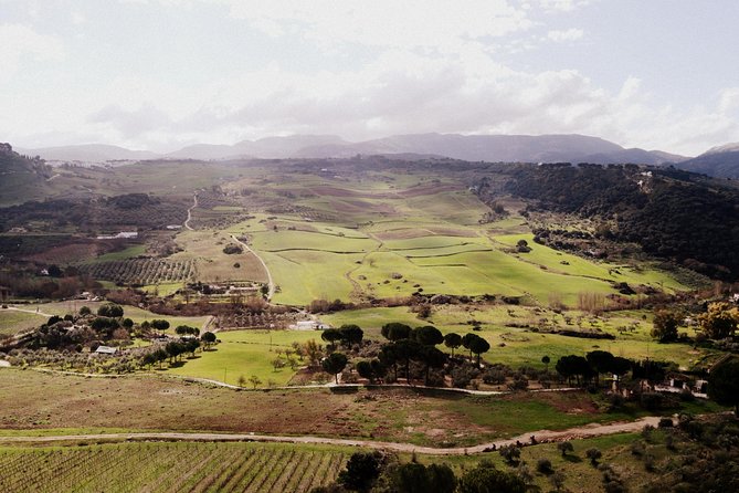 Private Guided Day Trip to the White Villages and Ronda from Seville - What the private guide adds