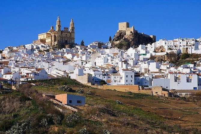 Private Guided Day Trip to the White Villages and Ronda from Seville - Setenil de las Bodegas and its rock-roofed streets