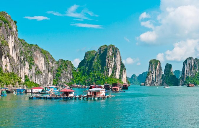Private Ha Long bay day trip(From Hanoi city or Halong harbour) - The important details at a glance