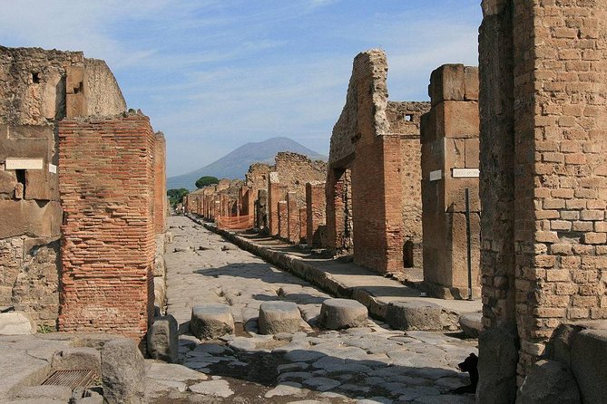 Private Tour: Pompeii and Positano Day Trip from Rome - What the drivers do well, and where expectations matter
