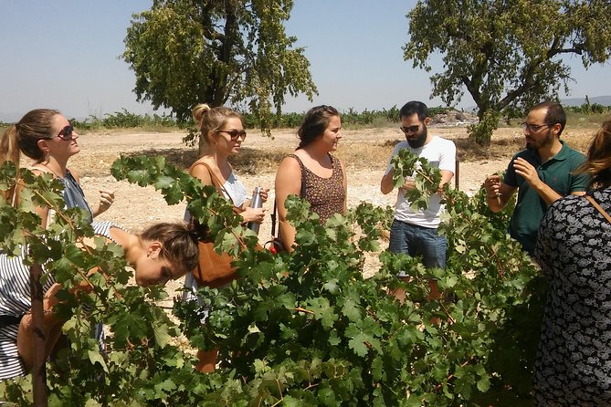Private Wine Tour with Wine Tasting and Full Lunch (day trip) - Why Utiel-Requena makes a good Valencia day trip