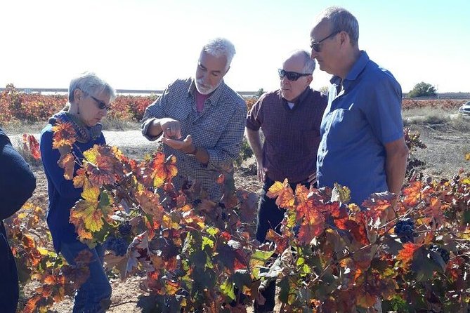 Private Wine Tour with Wine Tasting and Full Lunch (day trip) - Who should book this wine tour?
