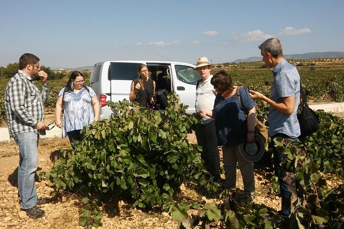Private Wine Tour with Wine Tasting and Full Lunch (day trip) - Three-course lunch and the pace of the day