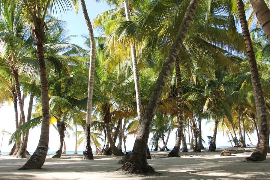 Punta Cana: Saona Island and Altos de Chavón Day Trip - The natural swimming pool is the social highlight