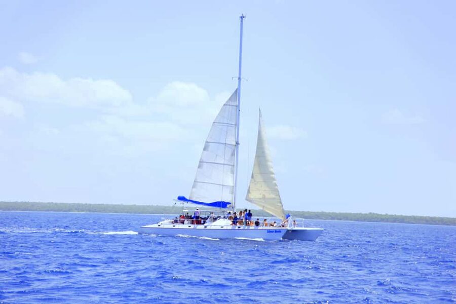 Punta Cana: Saona Island and Altos de Chavón Day Trip - Lunch is simple, filling, and included