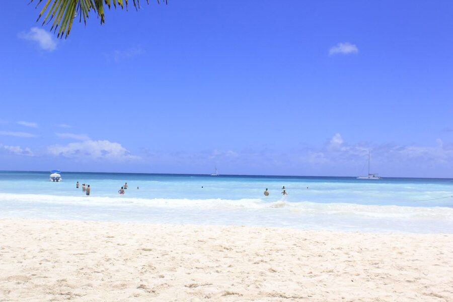 Punta Cana: Saona Island and Altos de Chavón Day Trip - Is $92 a good value?