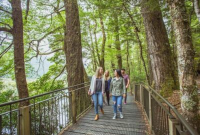 Queenstown: Milford Sound Coach & Cruise Full-Day Trip
