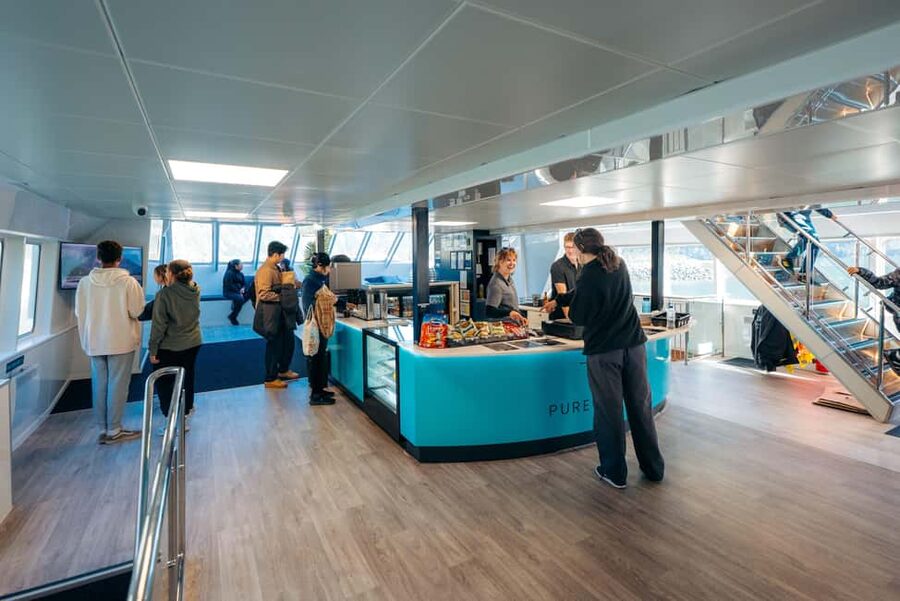 Queenstown: Milford Sound Coach & Cruise Full-Day Trip - Lunch, Tea, and Onboard Costs
