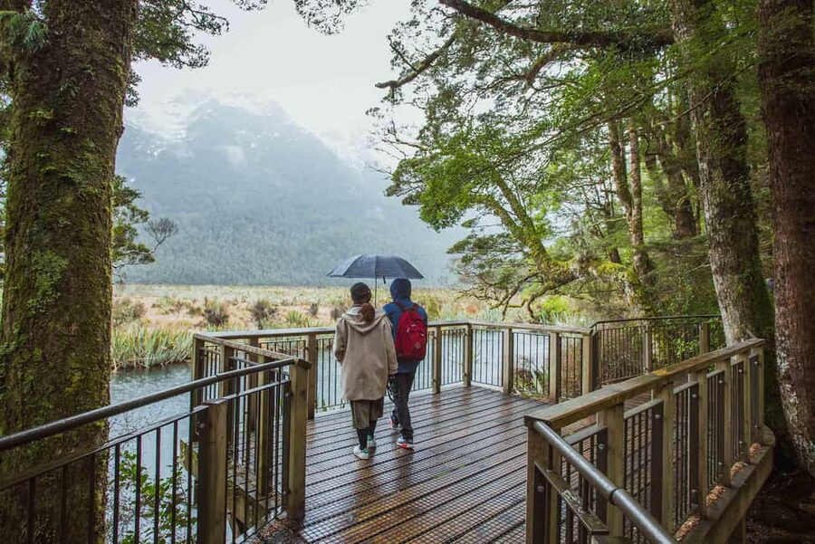 Queenstown: Milford Sound Coach & Cruise Full-Day Trip - Booking Details and Useful Preparation