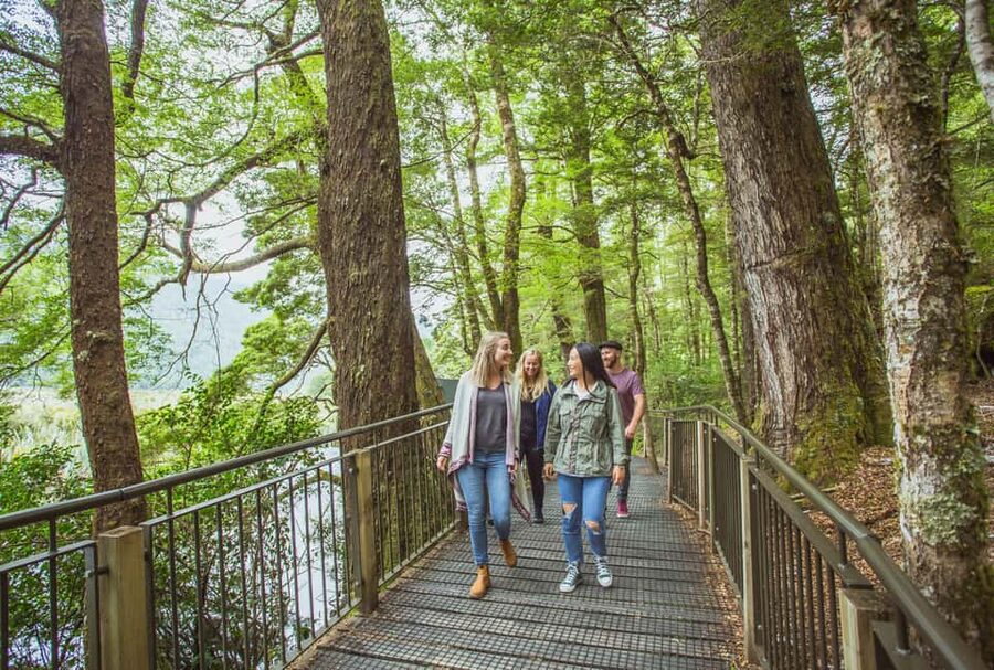 Queenstown: Milford Sound Coach & Cruise Full-Day Trip - The Queenstown Pickup and Scenic Road South