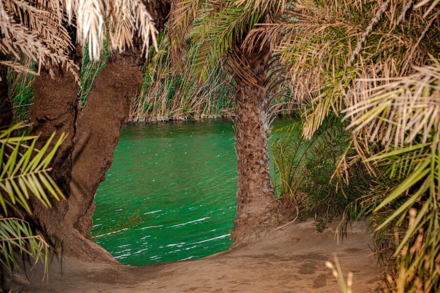 Rethymno: Preveli Beach Damnoni Beach Kourtaliotiko Day Trip - Preveli Beach combines palms, river water, and sea