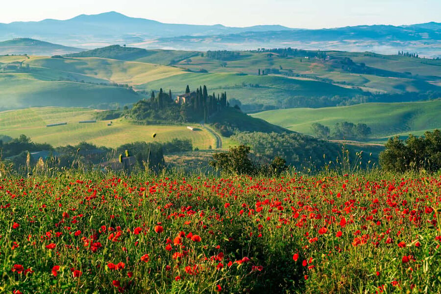 Rome: Tuscany & Montepulciano Day Trip with Lunch & Wines - Pienza and the taste of Pecorino