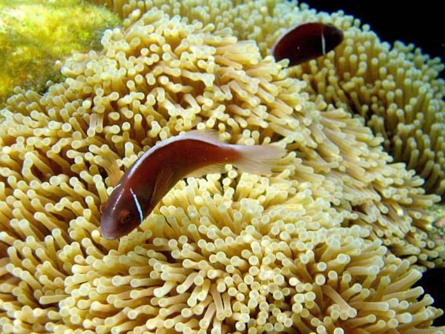 Samui: Angthong National Marine Park Day Trip by Speedboat - The guide and crew can shape the day