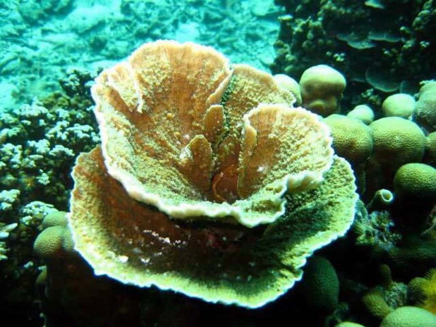Samui: Angthong National Marine Park Day Trip by Speedboat - How much activity fits into eight hours?